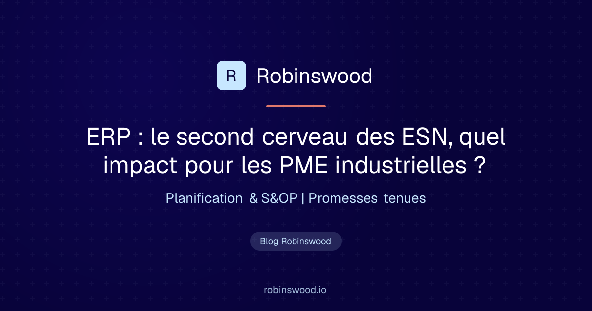 Illustration Robinswood : ERP : le second cerveau des ESN, quel impact pour les PME industrielles ?
